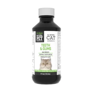 Cat: Teeth & Gums