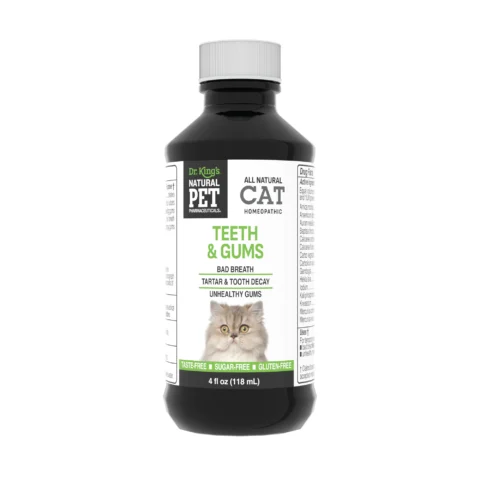Cat: Teeth & Gums