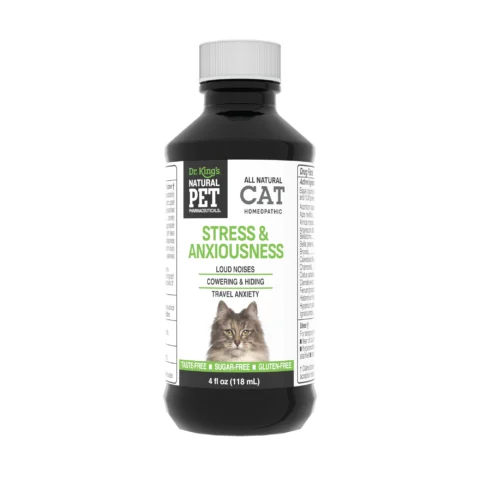 Cat: Stress & Anxiousness