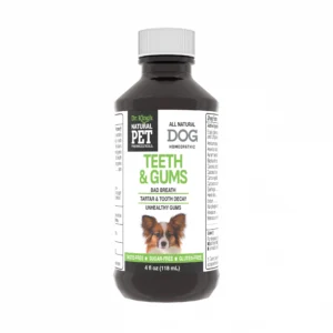 Dog: Teeth & Gums